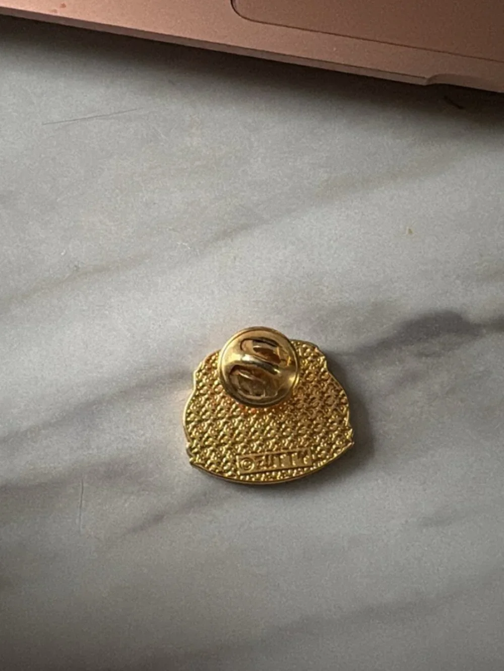 Minne-Ha-Ha Lake George Steamboat Co. Pin